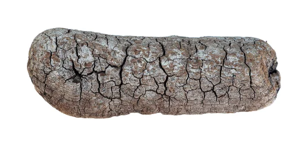 Driftwood Textuur Stuk Hout Geïsoleerd — Stockfoto