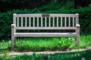 Yalnız park bankında