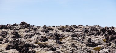 Lav alanı - İzlanda yosun kaplı