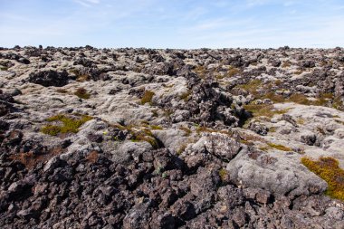 Lav alanı - İzlanda yosun kaplı
