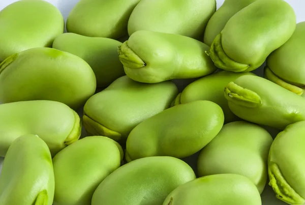 空豆の緑の種子緯度 Visia ソラマメ。そら豆ソラマメ bean ベル豆チック — ストック写真