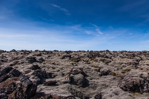Moss omfattas lava fält - Island — Stockfoto