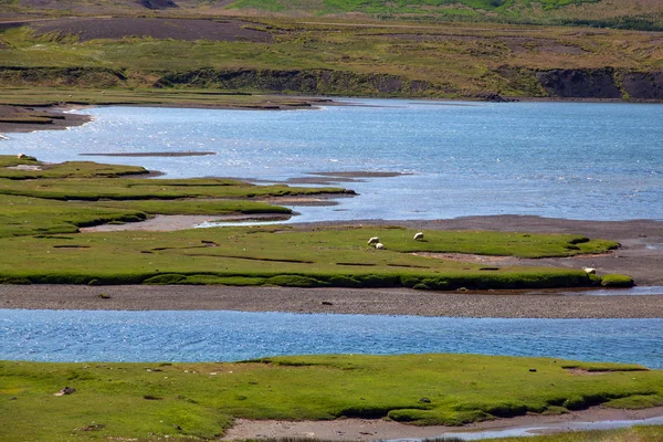 Archipel du paysage marin islandais — Photo