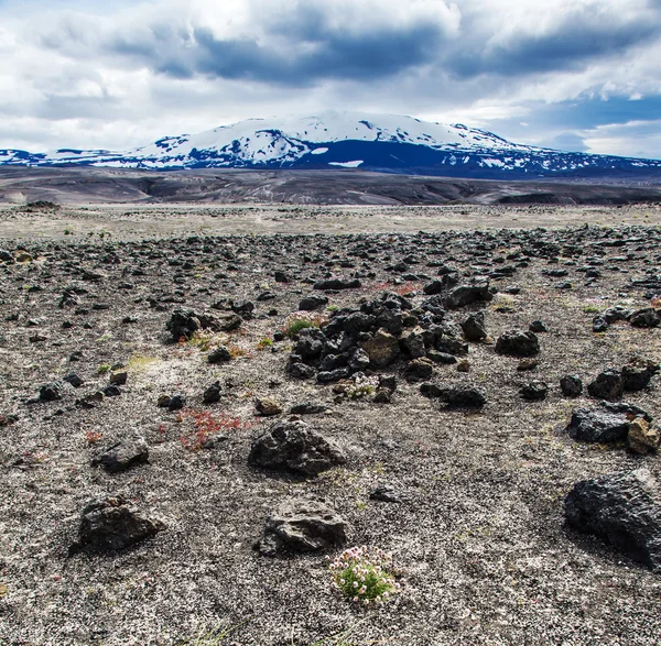 Stone and ash wasteland - volcanic landscape — 图库照片