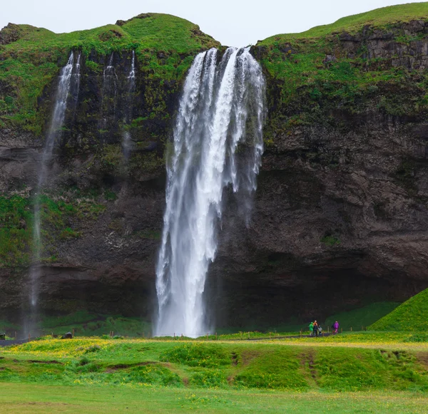Islândia, cachoeira Seljalandsfoss em um dia chuvoso de verão — Fotografia de Stock