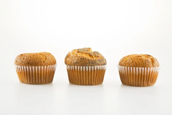 Muffins en fondo de estudio —  Fotos de Stock