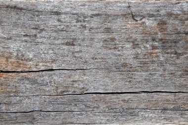 dalgaların karaya attığı odun dokusu