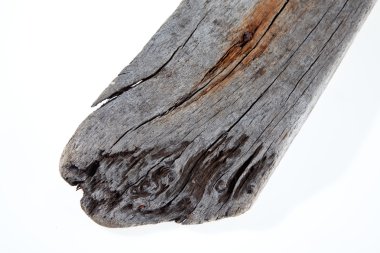 dalgaların karaya attığı odun dokusu