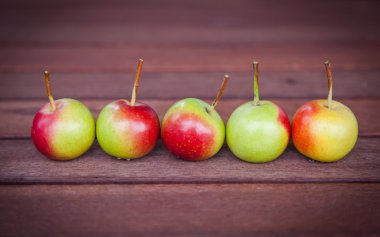 Small pears variation in a group on wooden table, natural light