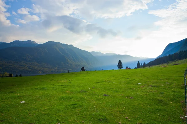 풀밭과 산 풍경 — 스톡 사진