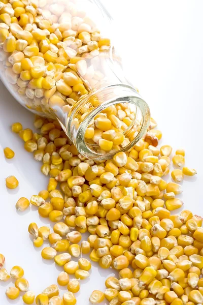 Corn seeds in a glass jar — Stok fotoğraf