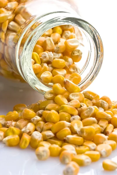 Corn seeds in a glass jar — Stok fotoğraf