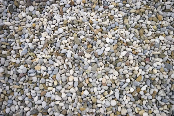 Pebbles on the beach — Stock Photo, Image