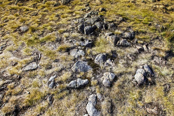 Stone and grass northen Iceland landscape — Stok fotoğraf