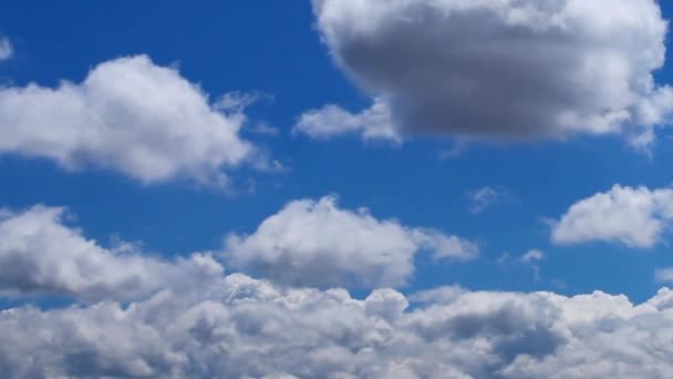 Clouds flyby, beautiful sunny day - flying trough puffy clouds — Stock Video