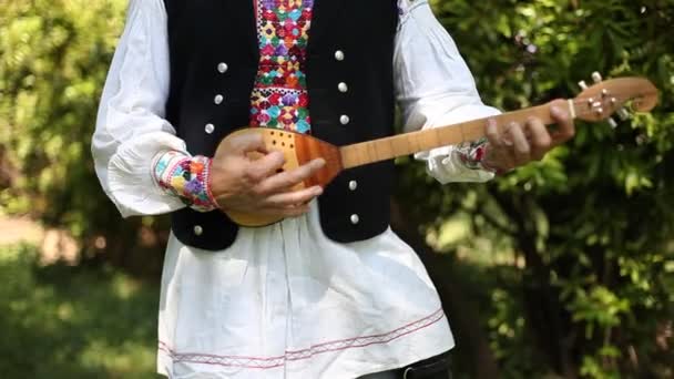 Homem tocando música popular no tamborim, Croácia, Europa Oriental — Vídeo de Stock