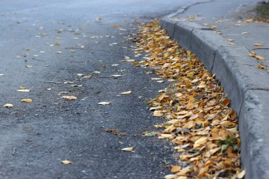 Sarı yapraklar yol kaldırım boyunca yalan.