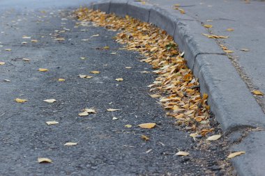 Sarı yapraklar yol kaldırım boyunca yalan.