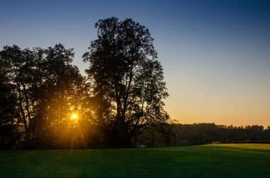Sigulda Letonya 'nın manzara manzarası. Doğrudan güneş ışığı altında ağaçlar