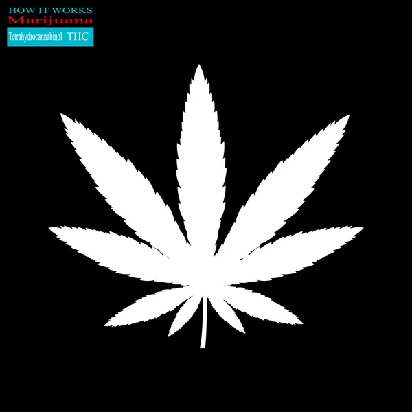 Marihuana cómo funciona 3 — Vector de stock