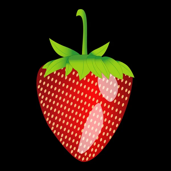 Strawberries on a black background — Stock Vector