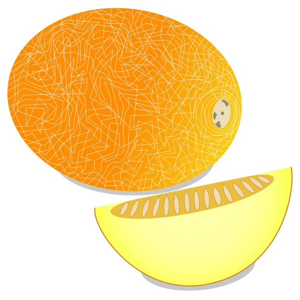 Meloen en een stuk van meloen op een witte achtergrond — Stockvector