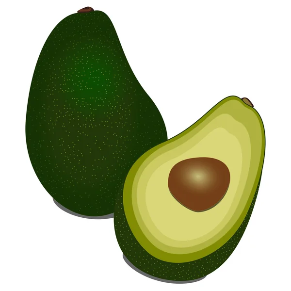 Avocado intero e affettato su sfondo bianco — Vettoriale Stock