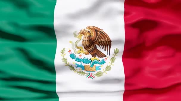 Meksykańska Flaga Machanie Ilustracja — Wideo stockowe