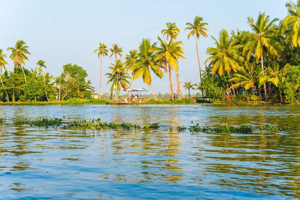 Alleppey tropikal nehir manzarası, Hindistan