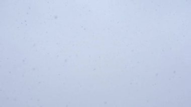 Düşen kar taneleri ile monoton gri gökyüzü