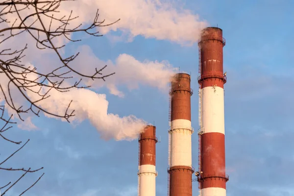 Las Tuberías Las Centrales Térmicas Hacen Estallar Humo Aire Vasileostrovskaya —  Fotos de Stock