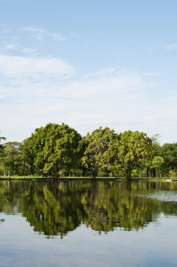 Bahar parkta Gölü