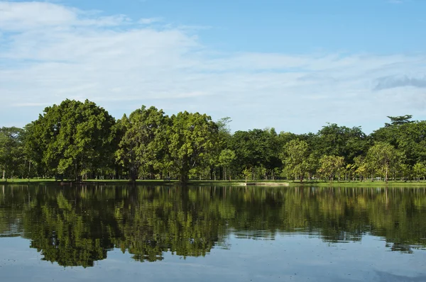 Lake in the spring park. — Stock Photo, Image