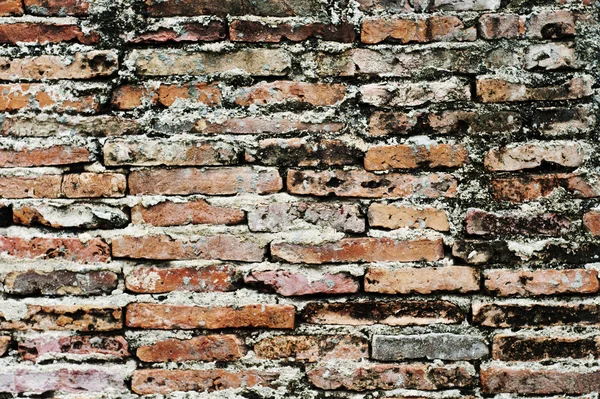 Contexte de la texture du mur de briques. — Photo