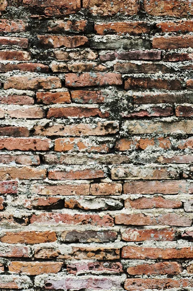 Fond de vieux mur de briques texture. — Photo