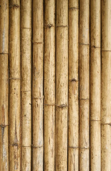 Primer plano de la pared de bambú . — Foto de Stock