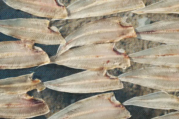 Drying fish, fishbone — Stock Photo, Image