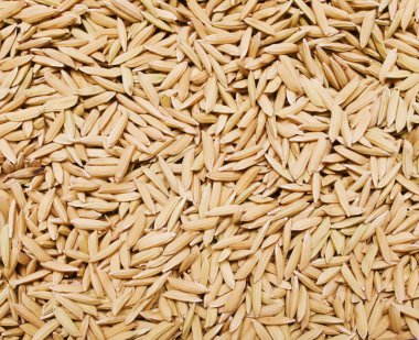 Çeltik pirinç arka plan Üstten Görünüm.