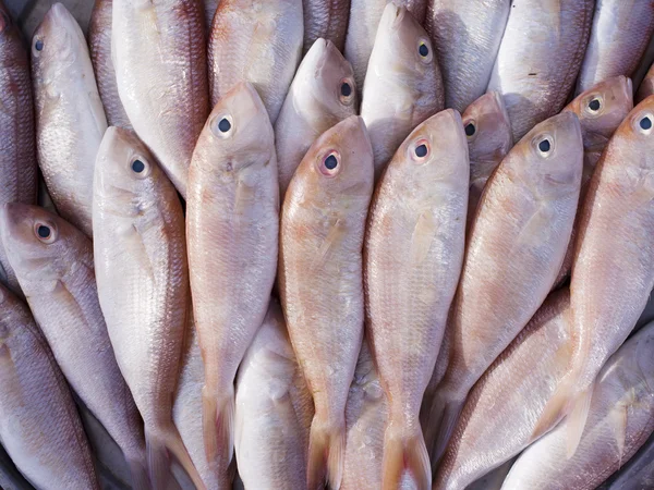 Pescado rojo en el mercado, Tailandia . — Foto de Stock