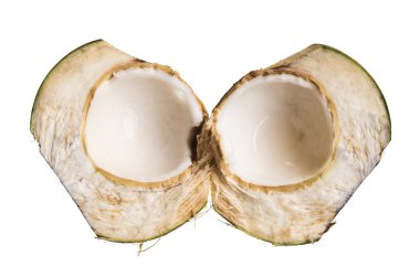 Beyaz arkaplanda yeşil hindistan cevizi izole.