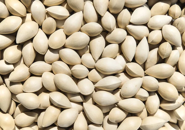 Fındık Ginkgo, Ginkgo biloba, Ginkgo tohumları.