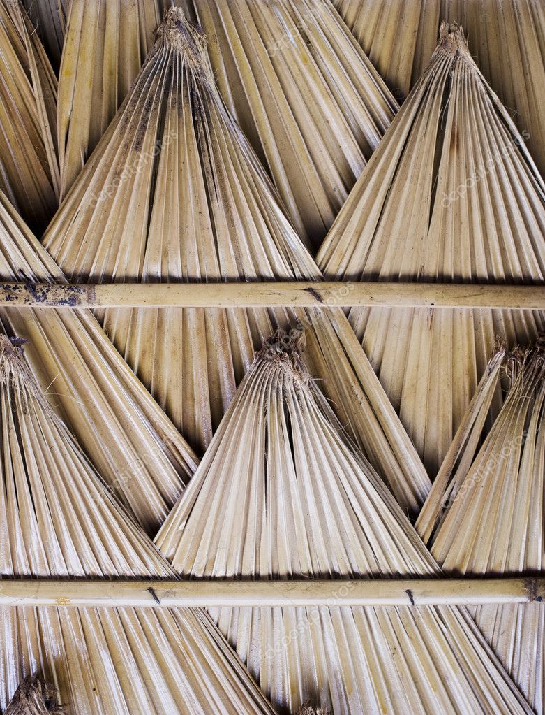 Palm Leaf Roof Stock Photo Image By C Moointer 111133932