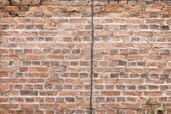 Une corde avec un mur de briques . — Photo