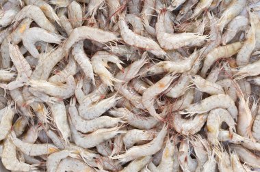 Muz karides veya karides.