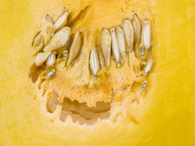 Tohumları ile kabak dilimleri.