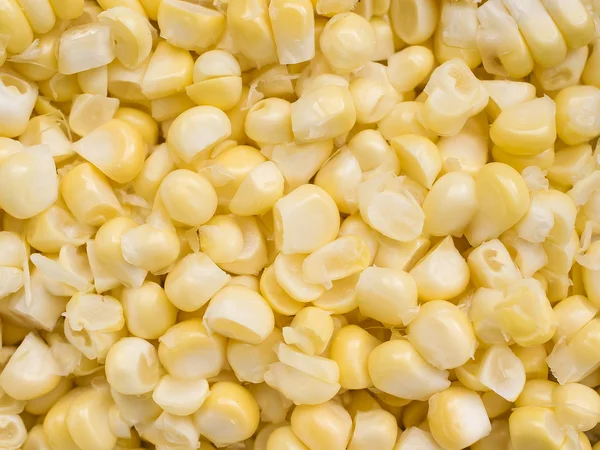 Sweet corn seeds. — Stock Photo, Image