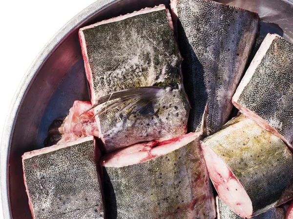 Риба свіжа cobia — стокове фото