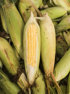 İçinde belgili tanımlık çarşı taze Mısır.