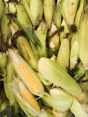 İçinde belgili tanımlık çarşı taze Mısır.