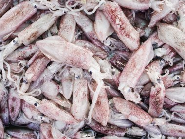 taze mürekkep piyasada.